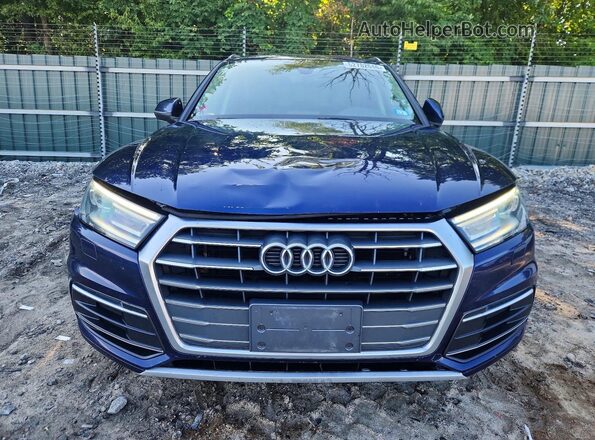 WA1ANAFY8J2005889 2018 AUDI Q5 Blue Դիմացի տեսք