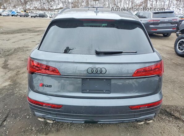 WA1B4AFY2S2056748 2025 AUDI SQ5 Gray Widok z tyłu