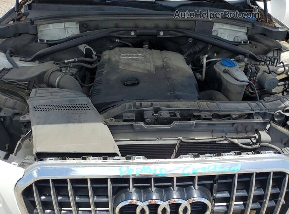 WA1C2AFP0GA040031 2016 AUDI Q5 White Rear interior view