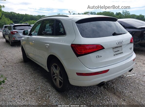 WA1C2AFP2GA047529 2016 AUDI Q5 Белый Задняя левая четверть