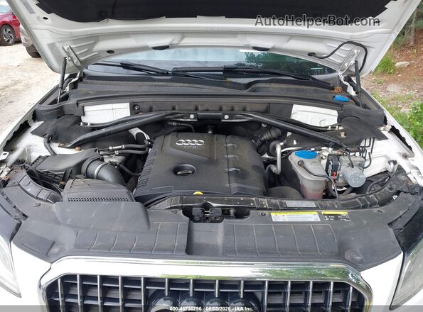 WA1C2AFP2GA047529 2016 AUDI Q5 Белый Вид сзади
