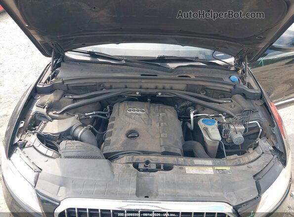 WA1C2AFP5HA028765 2017 AUDI Q5 Black Հետևի տեսք