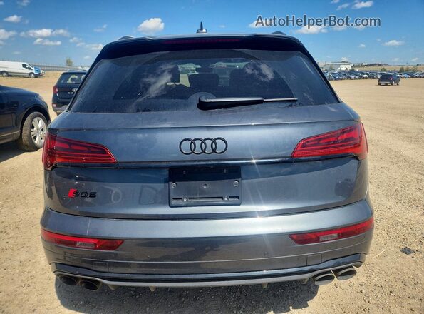 WA1C4AFY3P2195847 2023 AUDI SQ5 Серый Вид сзади