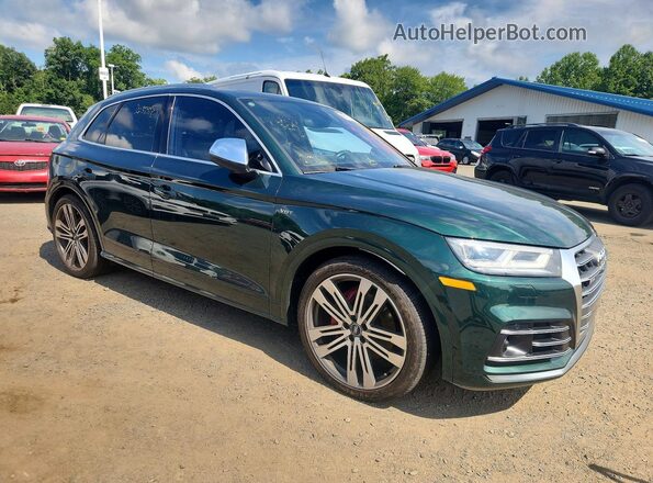 WA1C4AFY8J2101243 2018 AUDI SQ5 Green Հետևի տեսք