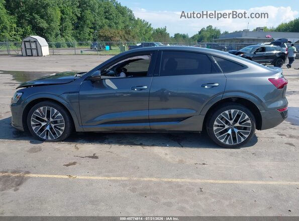 WA1CAAGE4RB048789 2024 AUDI Q8 E-TRON Gray Панорамний вид салону 360°