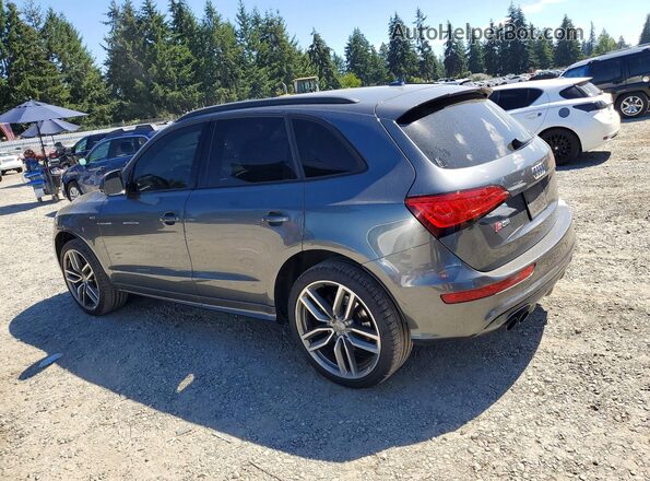 WA1CCAFP3GA044281 2016 AUDI SQ5 Gray უკანა მარცხენა