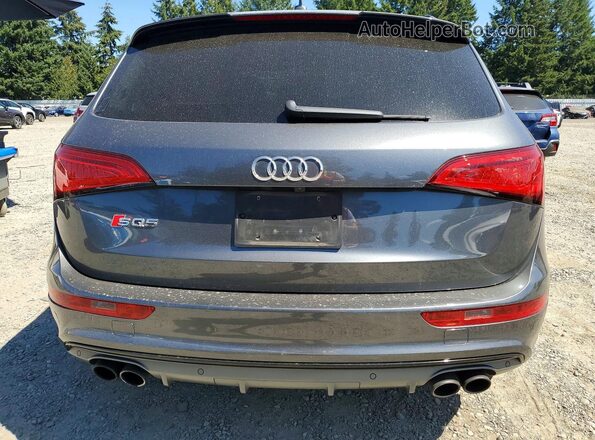 WA1CCAFP3GA044281 2016 AUDI SQ5 Gray უკანა ხედი