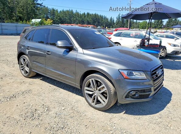 WA1CCAFP3GA044281 2016 AUDI SQ5 Gray წინა მარჯვენა