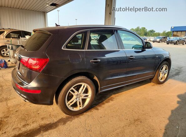 WA1D7AFP3GA018613 2016 AUDI Q5 Blue Հետևի աջ