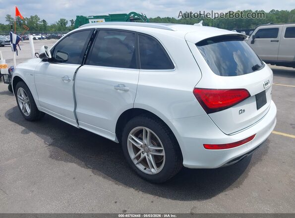 WA1D7AFP5GA029449 2016 AUDI Q5 White Tył lewy