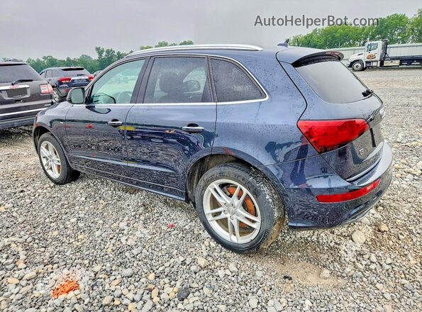 WA1D7AFPXHA039413 2017 AUDI Q5 Blue Հետևի աջ