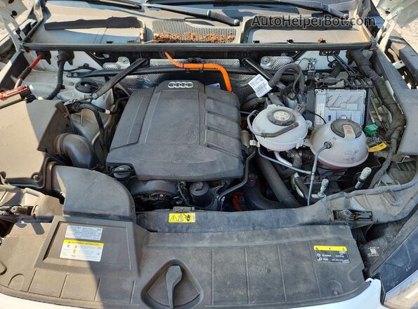 WA1E2AFY8N2077062 2022 AUDI Q5 White Вид задньої частини салону