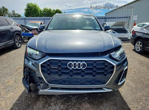 WA1EAAFY8P2180956 2023 AUDI Q5 Gray Widok z przodu