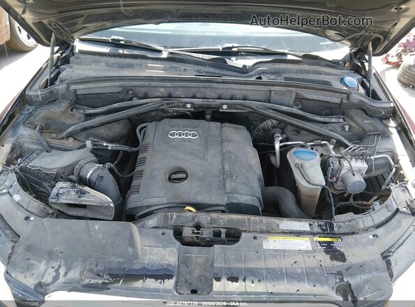 WA1L2AFP2GA097458 2016 AUDI Q5 Черный Вид сзади