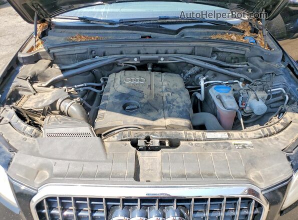 WA1L2AFP3GA005564 2016 AUDI Q5 Black Vista del compartimento del motor