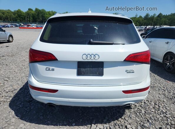 WA1L2AFP4GA024267 2016 AUDI Q5 White Vista trasera