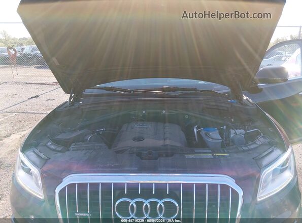 WA1L2AFP9HA081310 2017 AUDI Q5 Black უკანა ხედი