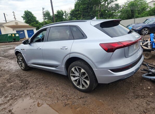 WA1LAAGE6MB038404 2021 AUDI E-TRON Silver Задня ліва чверть