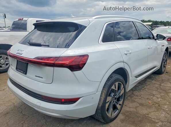 WA1LAAGEXMB024151 2021 AUDI E-TRON White Tył prawy