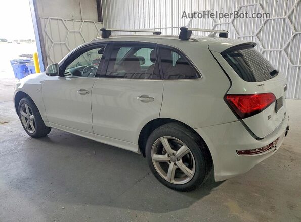 WA1M2AFP1HA087283 2017 AUDI Q5 White უკანა მარცხენა