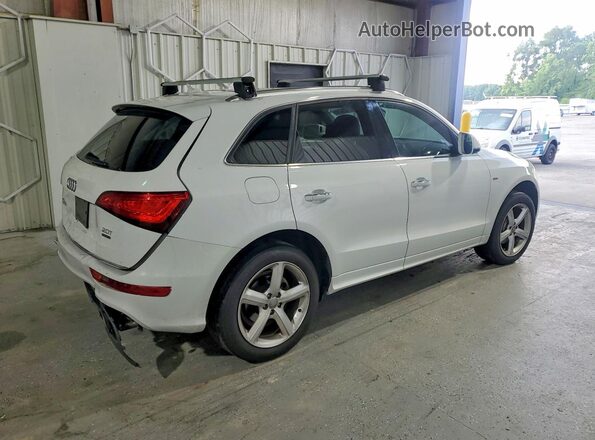 WA1M2AFP1HA087283 2017 AUDI Q5 White უკანა მარჯვენა