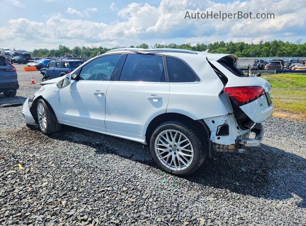 WA1M2AFP1HA090698 2017 AUDI Q5 White უკანა მარცხენა