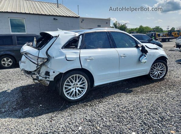 WA1M2AFP1HA090698 2017 AUDI Q5 White უკანა მარჯვენა