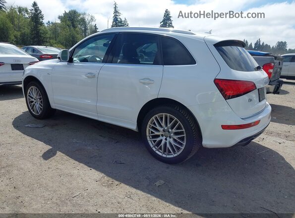 WA1M2AFP8HA041787 2017 AUDI Q5 White Tył lewy