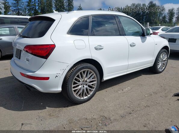 WA1M2AFP8HA041787 2017 AUDI Q5 White Tył prawy