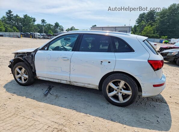 WA1M2AFPXHA087573 2017 AUDI Q5 White უკანა მარცხენა