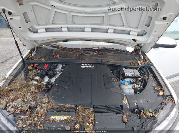 WA1VAAF76HD007966 2017 AUDI Q7 White Widok z tyłu