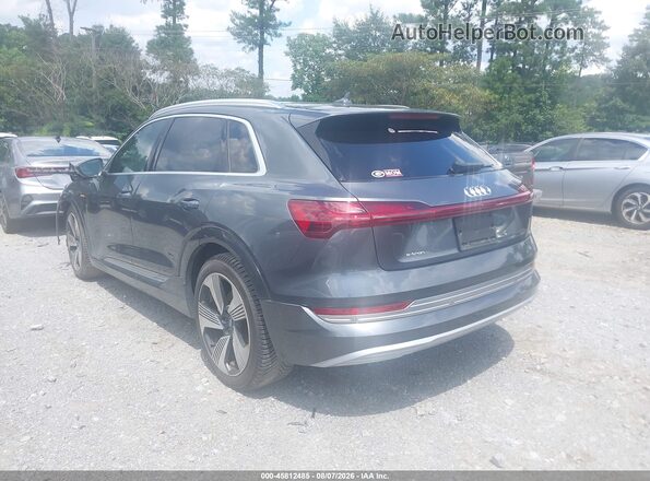 WA1VAAGE9KB005824 2019 AUDI E-TRON Gray Հետևի ձախ