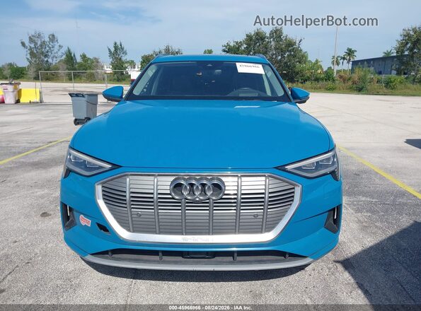 WA1VABGE5KB008242 2019 AUDI E-TRON Blue Vista del cuadro de instrumentos