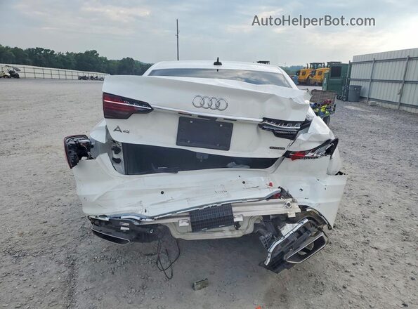 WAUABAF42PN010795 2023 AUDI A4 Белый Вид сзади