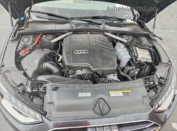 WAUABAF48PN021493 2023 AUDI A4 Черный Вид задней части салона