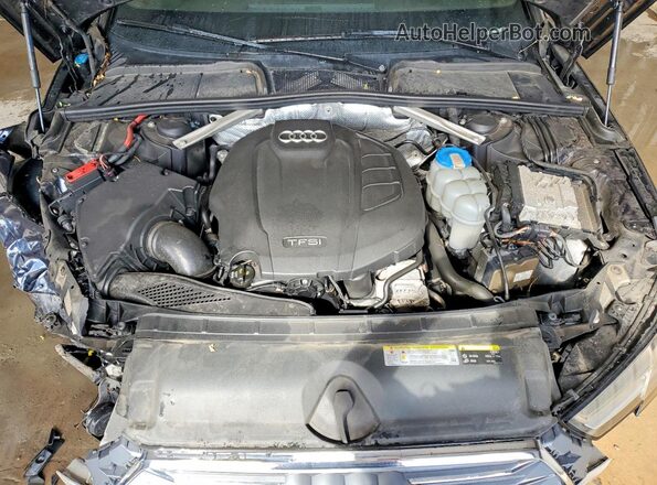 WAUANAF4XHN041575 2017 AUDI A4 Угольный Вид задней части салона