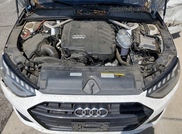 WAUBBAF41PN019248 2023 AUDI A4 White Սալոնի հետևի տեսք