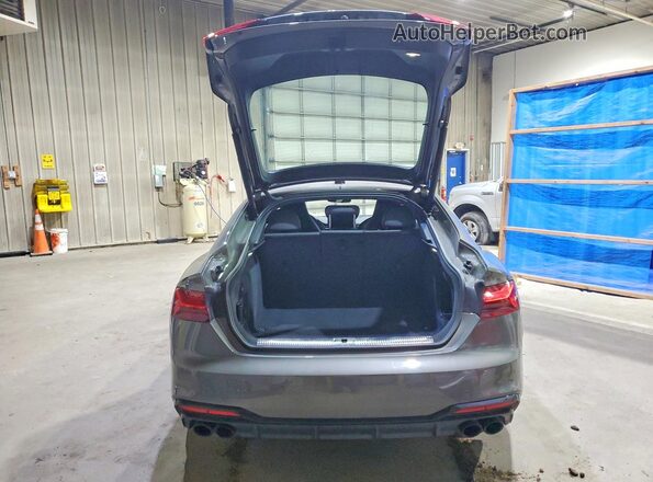WAUC4CF58RA027442 2024 AUDI S5 Gray Widok z tyłu