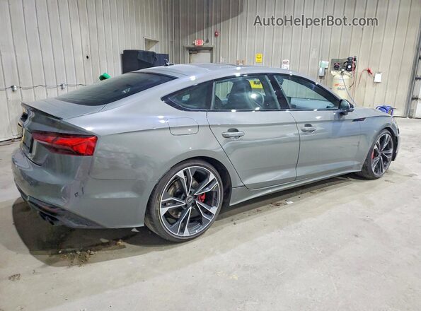 WAUC4CF58RA027442 2024 AUDI S5 Gray Tył prawy