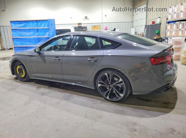 WAUC4CF58RA027442 2024 AUDI S5 Gray Tył lewy