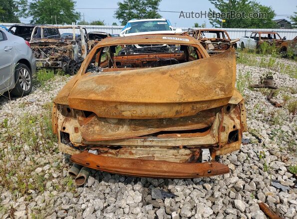 WAUD2AFR8GA015761 2016 AUDI A5 Burn Rear view