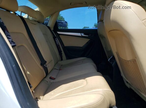 WAUDFAFL9GN009507 2016 AUDI A4 Белый Вид задних сидений