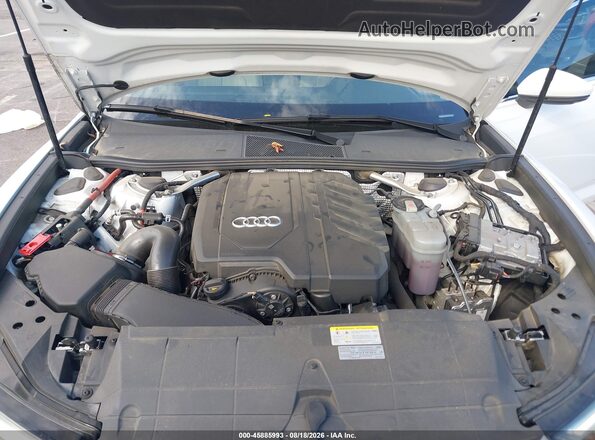 WAUE3BF2XPN059648 2023 AUDI A6 White Widok z tyłu