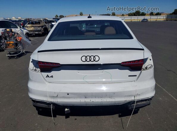 WAUEAAF43RN005886 2024 AUDI A4 White Вид ззаду
