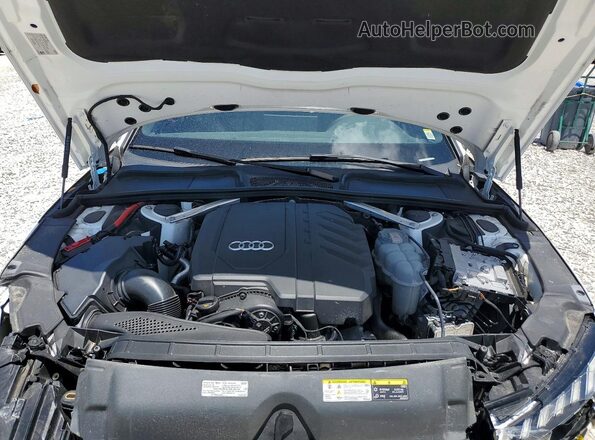 WAUEAAF48PN005685 2023 AUDI A4 White Սալոնի հետևի տեսք