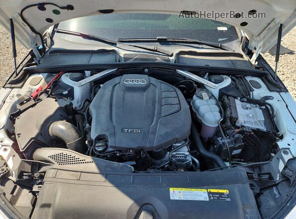 WAUENAF40KA079901 2019 AUDI A4 Белый Вид задней части салона