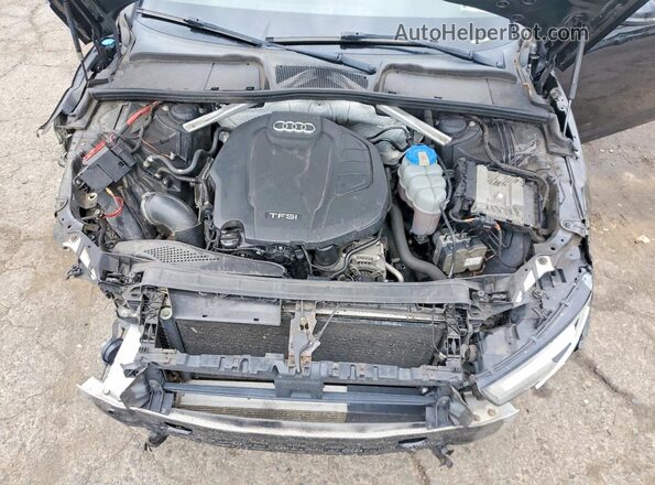 WAUENAF41HN011236 2017 AUDI A4 Black Vista interior trasera