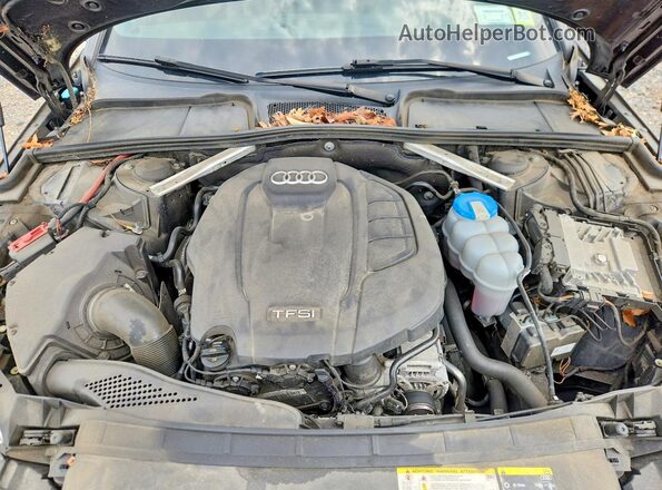 WAUENAF41HN068388 2017 AUDI A4 Blue უკანა სალონის ხედი