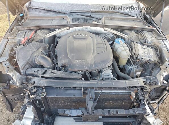 WAUENAF42HN038204 2017 AUDI A4 Серый Вид задней части салона