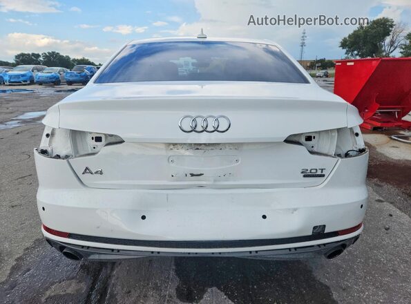 WAUENAF44HN071480 2017 AUDI A4 Белый Вид сзади